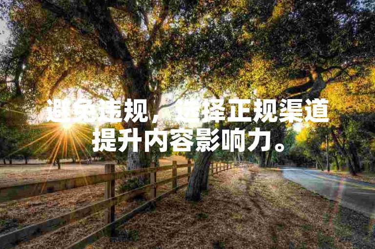 避免违规，选择正规渠道提升内容影响力。