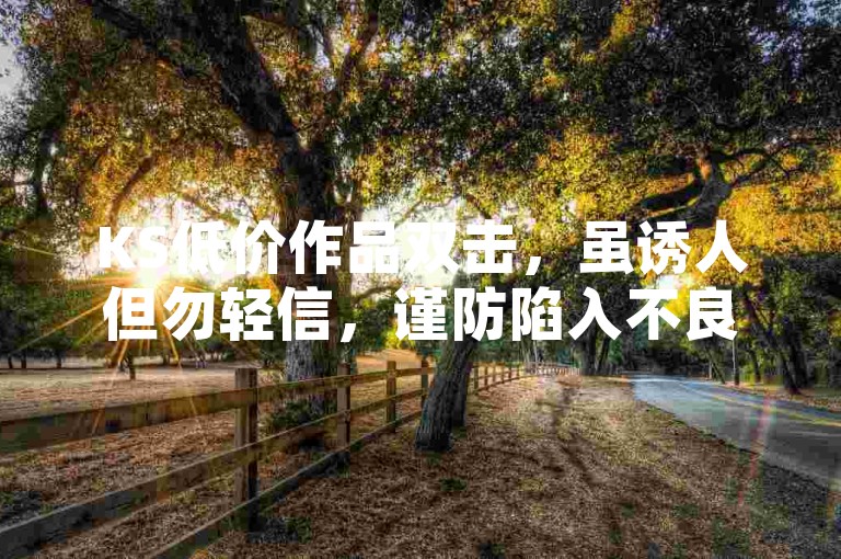 KS低价作品双击，虽诱人但勿轻信，谨防陷入不良套路。