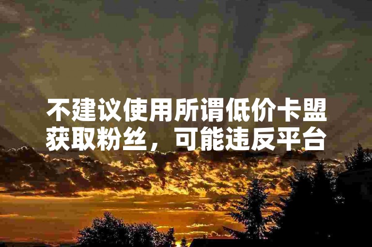 不建议使用所谓低价卡盟获取粉丝，可能违反平台规定且存在风险。
