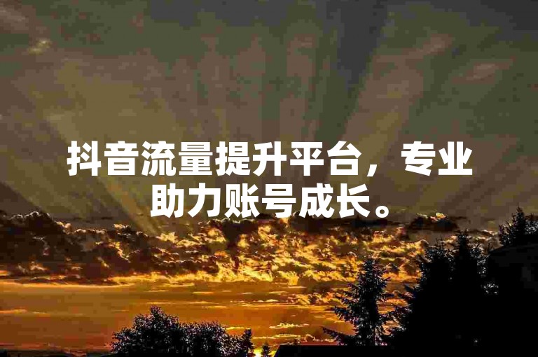 抖音流量提升平台，专业助力账号成长。
