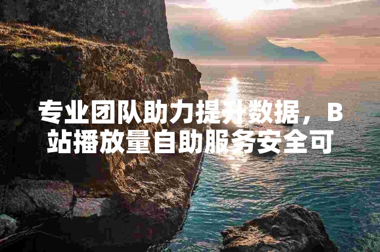 专业团队助力提升数据，B站播放量自助服务安全可靠。