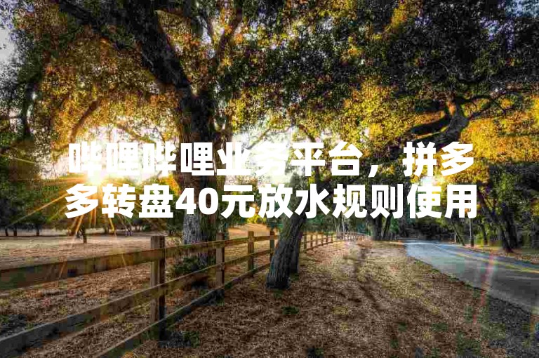 哔哩哔哩业务平台，拼多多转盘40元放水规则使用方法及注意事项详解