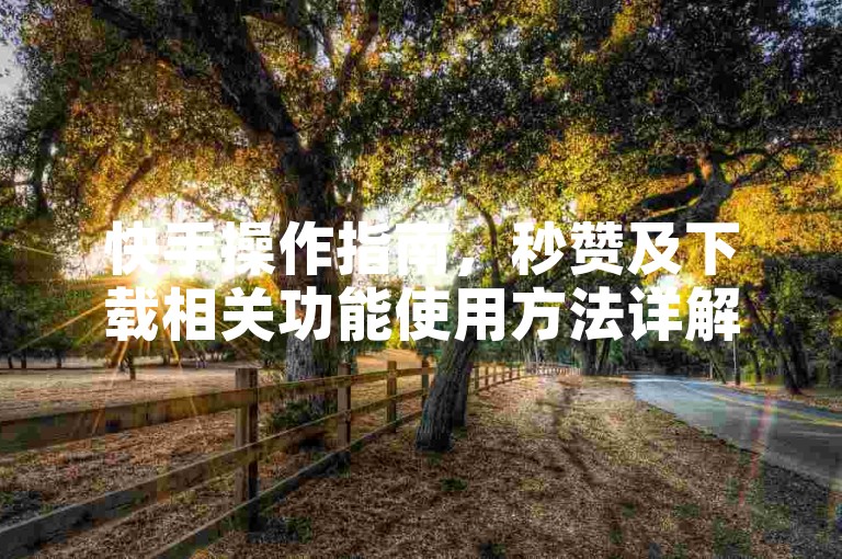 快手操作指南，秒赞及下载相关功能使用方法详解。