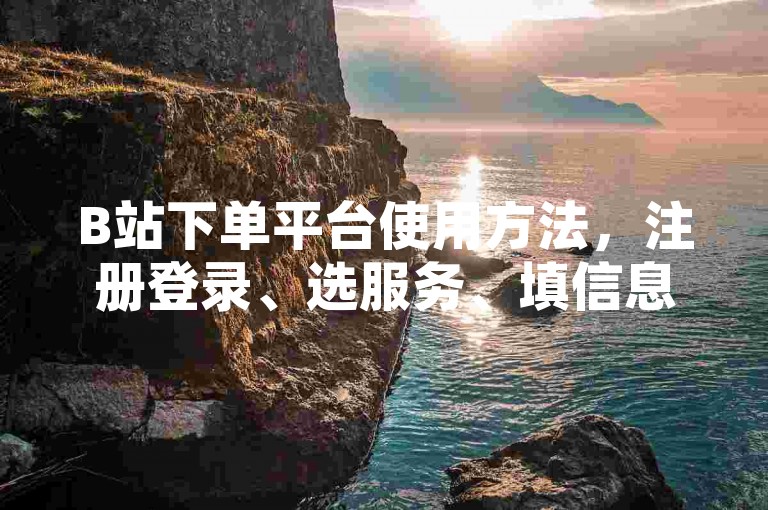 B站下单平台使用方法，注册登录、选服务、填信息、付货款。