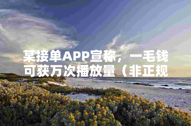 某接单APP宣称，一毛钱可获万次播放量（非正规渠道）
