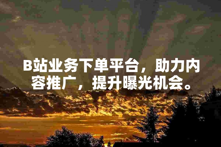 B站业务下单平台，助力内容推广，提升曝光机会。