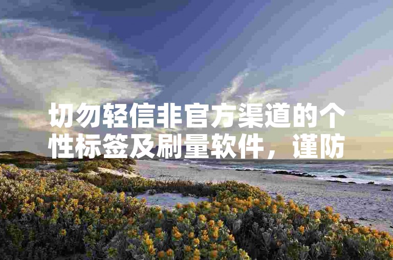 切勿轻信非官方渠道的个性标签及刷量软件，谨防风险。
