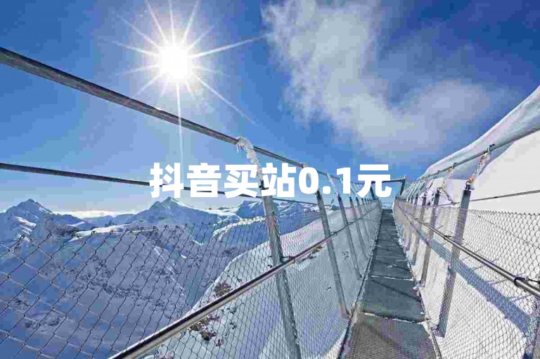 抖音买站0.1元50个，低价下单平台快速到账。