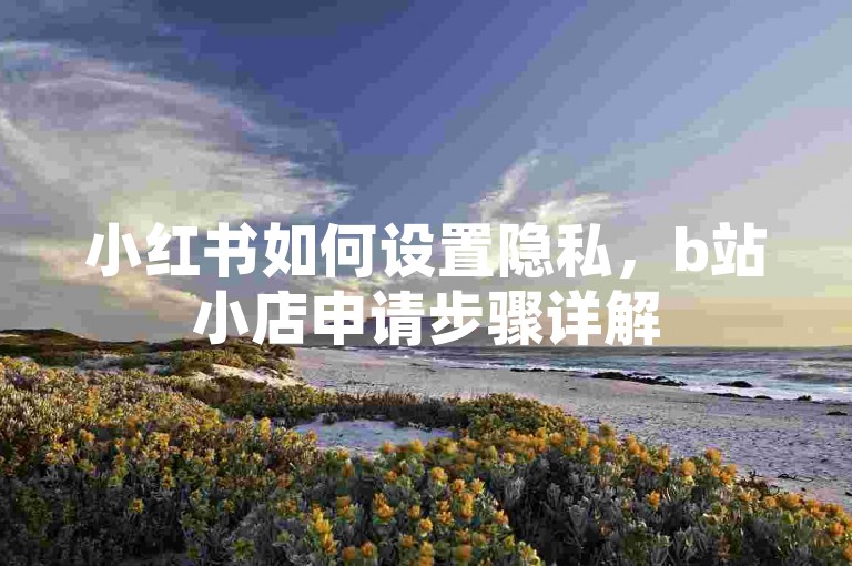 小红书如何设置隐私，b站小店申请步骤详解