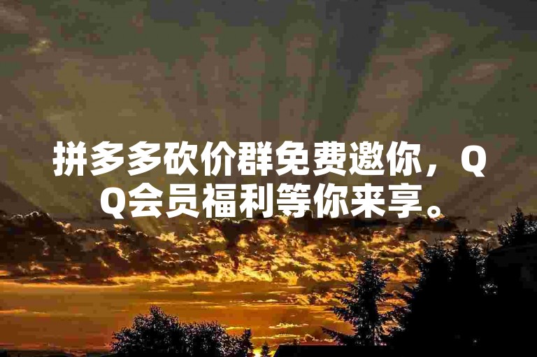 拼多多砍价群免费邀你，QQ会员福利等你来享。