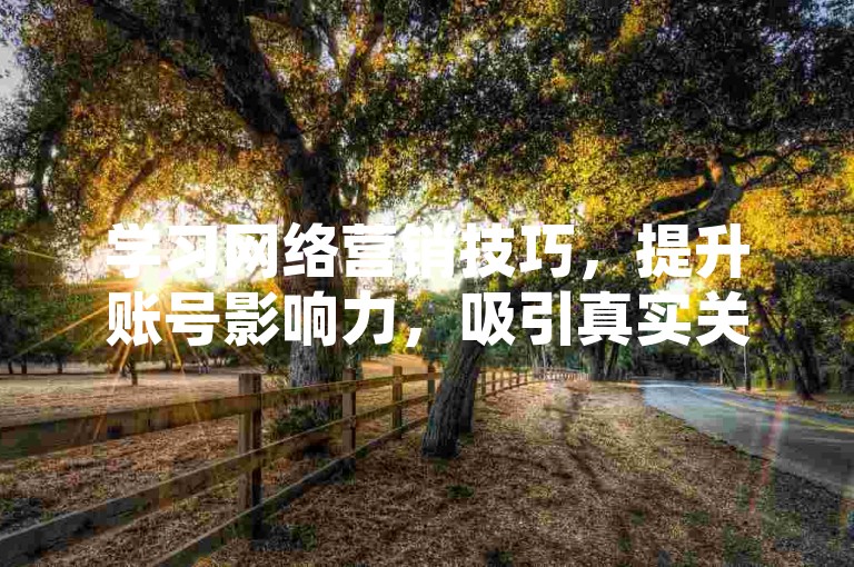 学习网络营销技巧，提升账号影响力，吸引真实关注。