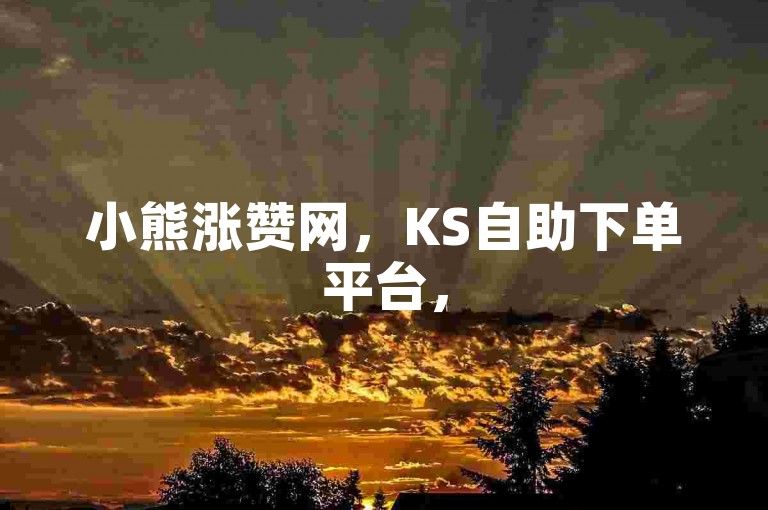 小熊涨赞网，KS自助下单平台，50个赞轻松得。