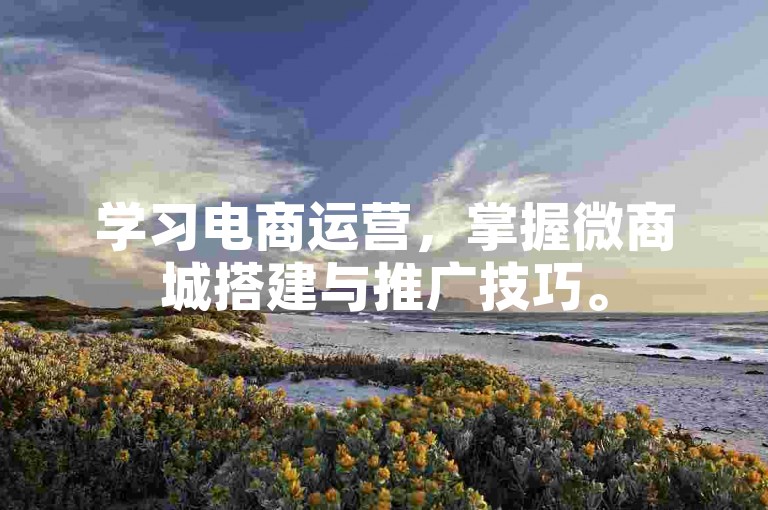 学习电商运营，掌握微商城搭建与推广技巧。