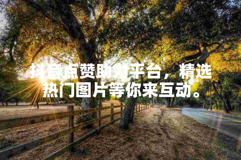 抖音点赞助力平台，精选热门图片等你来互动。
