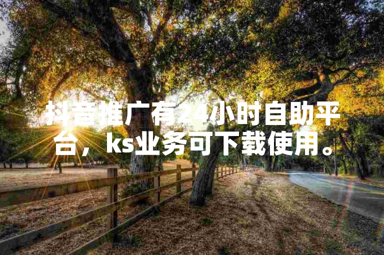 抖音推广有24小时自助平台，ks业务可下载使用。