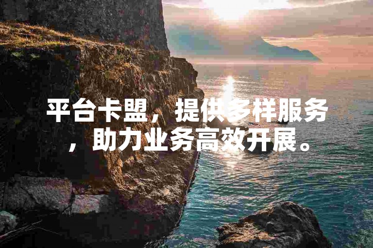 平台卡盟，提供多样服务，助力业务高效开展。