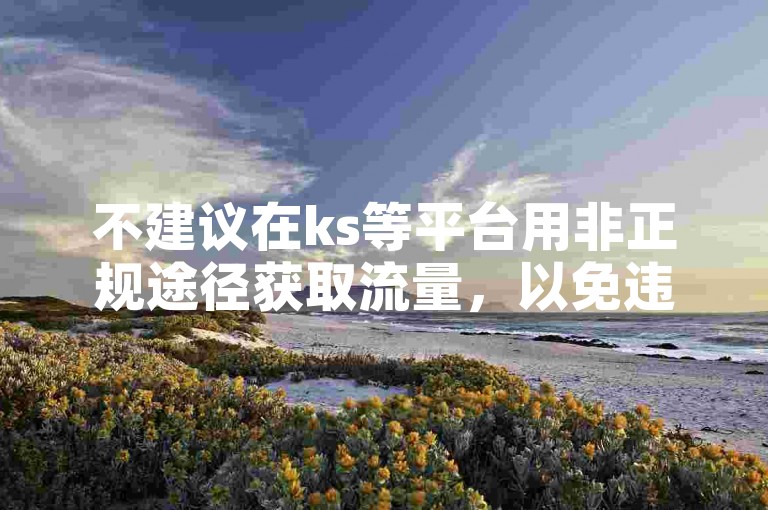 不建议在ks等平台用非正规途径获取流量，以免违规受罚。