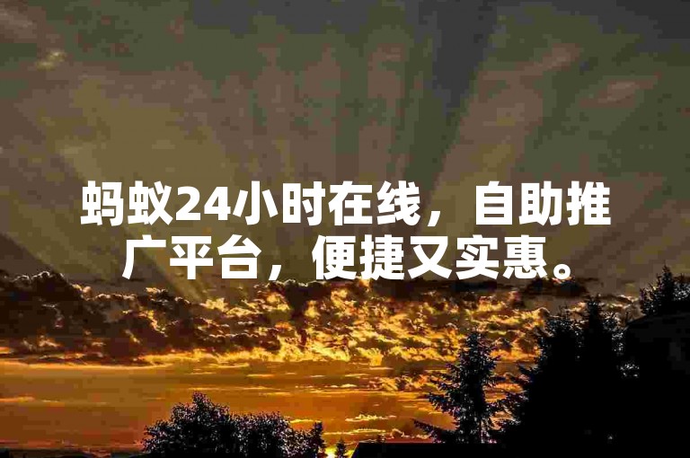 蚂蚁24小时在线，自助推广平台，便捷又实惠。