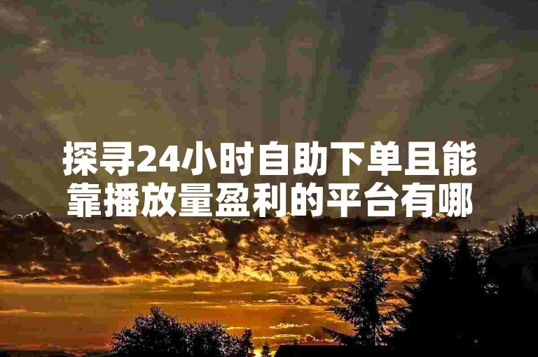 探寻24小时自助下单且能靠播放量盈利的平台有哪些