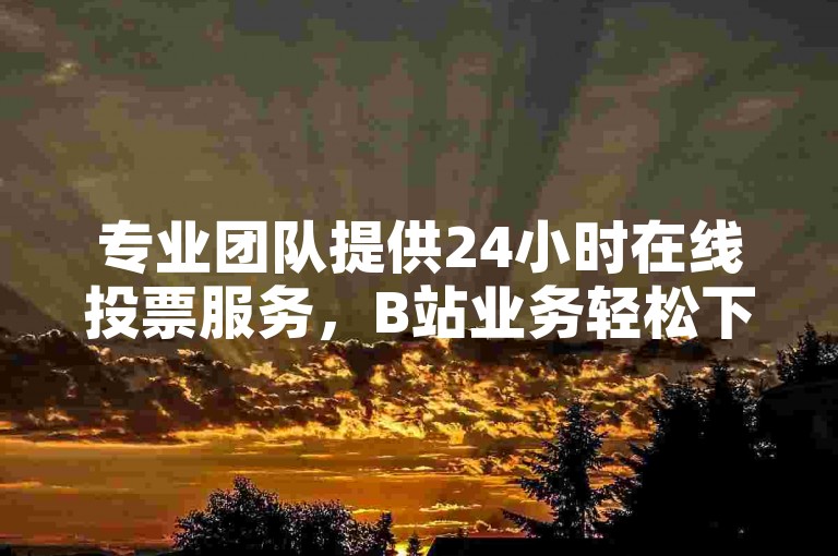 专业团队提供24小时在线投票服务，B站业务轻松下单。