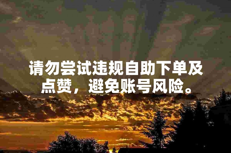 请勿尝试违规自助下单及点赞，避免账号风险。