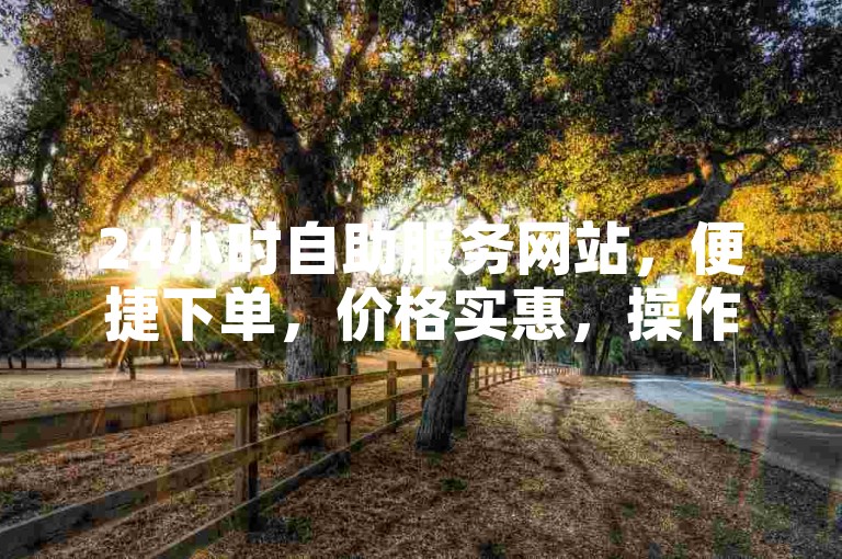 24小时自助服务网站，便捷下单，价格实惠，操作简单。