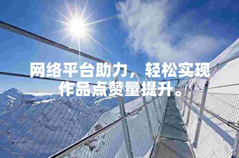 网络平台助力，轻松实现作品点赞量提升。