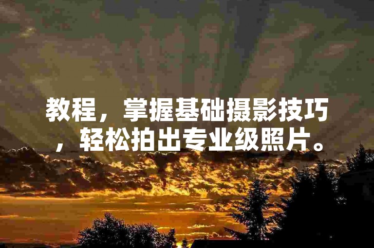 教程，掌握基础摄影技巧，轻松拍出专业级照片。