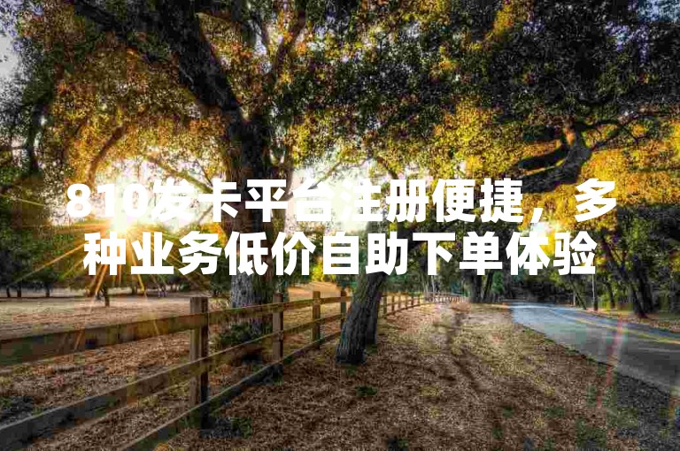 810发卡平台注册便捷，多种业务低价自助下单体验。