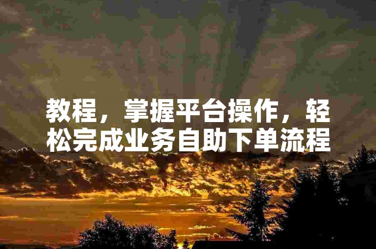教程，掌握平台操作，轻松完成业务自助下单流程。