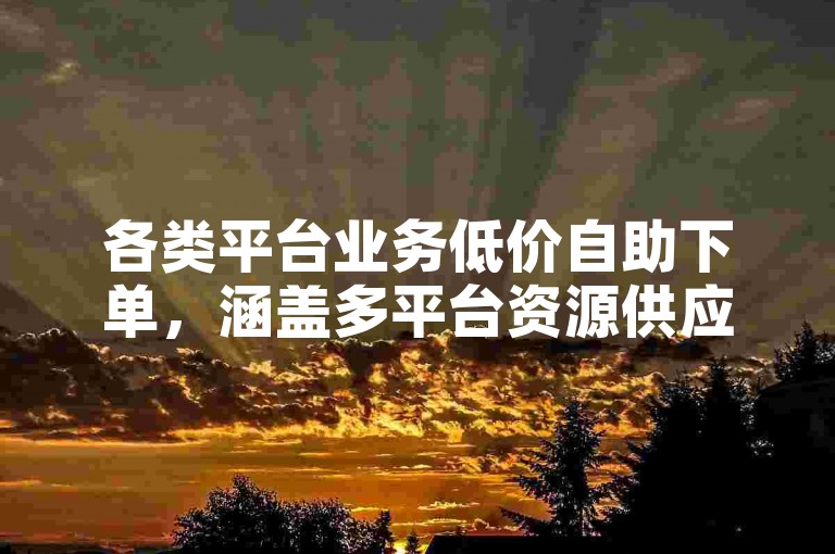 各类平台业务低价自助下单，涵盖多平台资源供应。