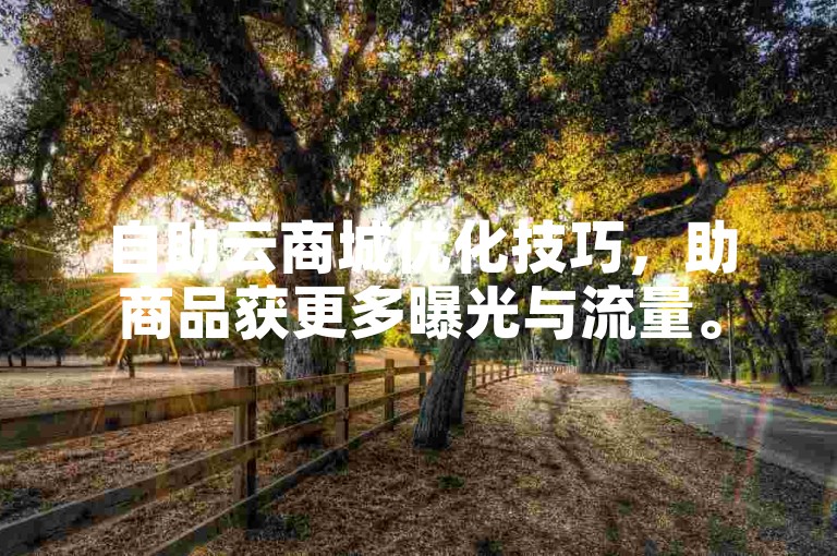 自助云商城优化技巧，助商品获更多曝光与流量。
