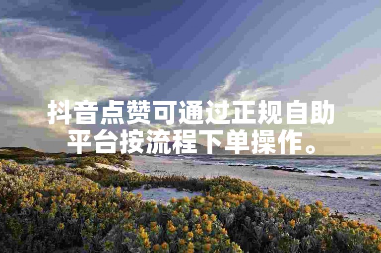 抖音点赞可通过正规自助平台按流程下单操作。