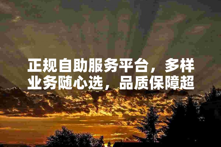 正规自助服务平台，多样业务随心选，品质保障超省心。