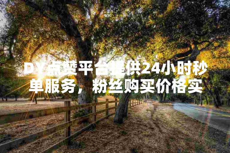 DY点赞平台提供24小时秒单服务，粉丝购买价格实惠。