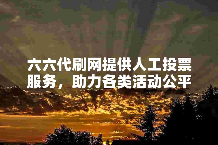 六六代刷网提供人工投票服务，助力各类活动公平公正开展。