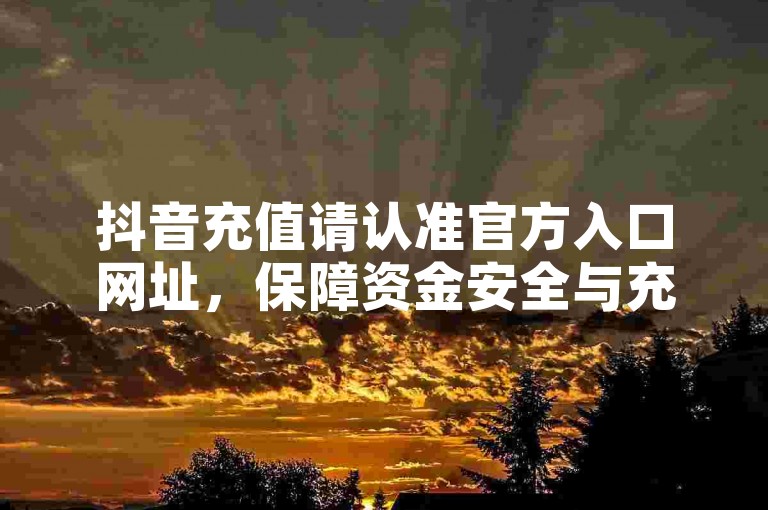 抖音充值请认准官方入口网址，保障资金安全与充值顺畅。