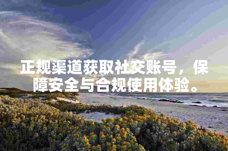 正规渠道获取社交账号，保障安全与合规使用体验。