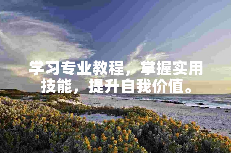 学习专业教程，掌握实用技能，提升自我价值。