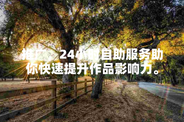 推广，24小时自助服务助你快速提升作品影响力。