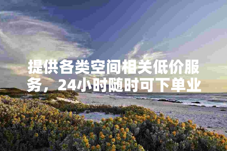 提供各类空间相关低价服务，24小时随时可下单业务平台。
