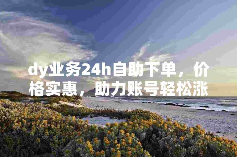 dy业务24h自助下单，价格实惠，助力账号轻松涨流量。