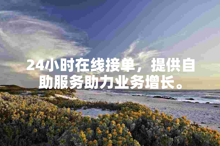 24小时在线接单，提供自助服务助力业务增长。