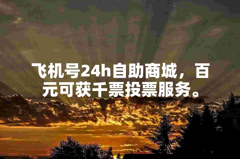 飞机号24h自助商城，百元可获千票投票服务。
