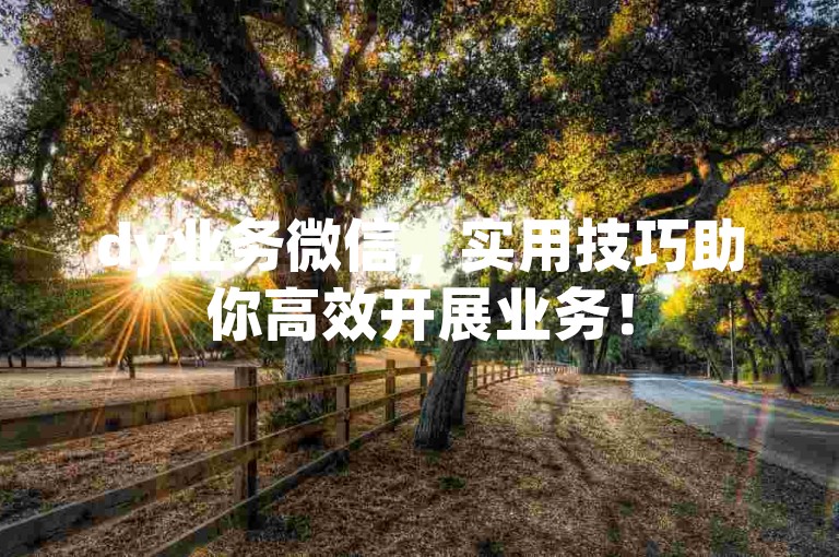 dy业务微信，实用技巧助你高效开展业务！