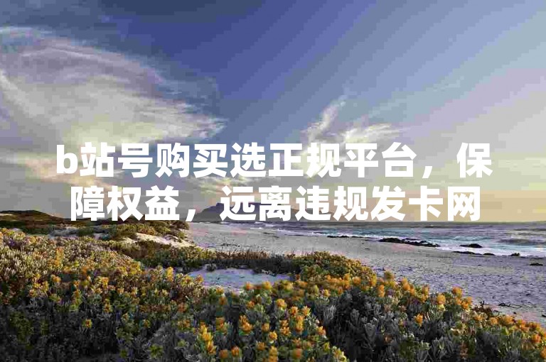 b站号购买选正规平台，保障权益，远离违规发卡网。