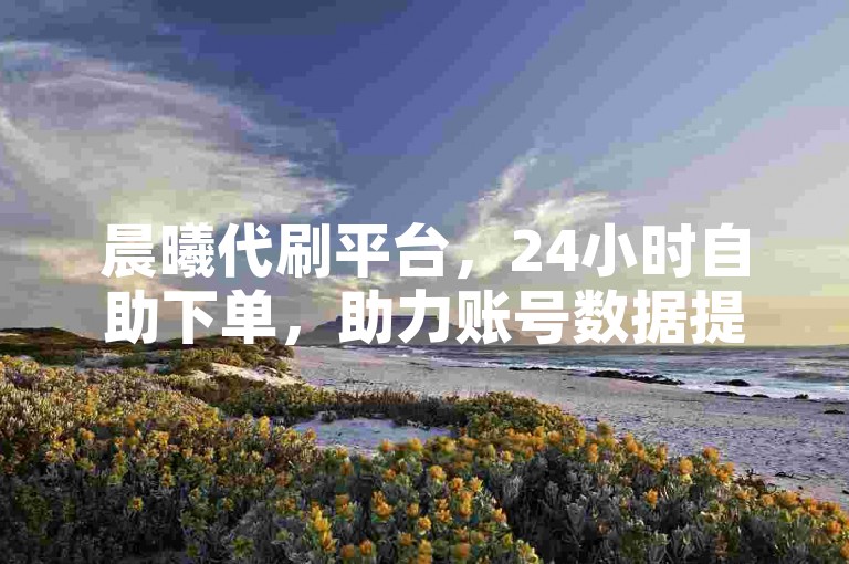 晨曦代刷平台，24小时自助下单，助力账号数据提升。