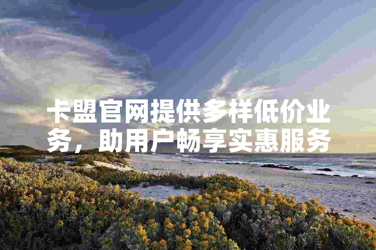 卡盟官网提供多样低价业务，助用户畅享实惠服务体验。