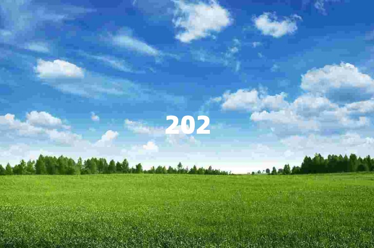 2025云小店自助下单攻略，低价高效，轻松开启电商之旅！