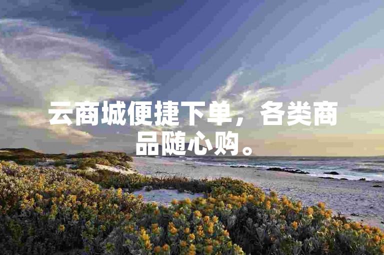 云商城便捷下单，各类商品随心购。